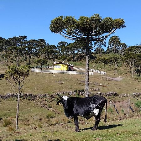 Casa E Cabana De Campo Fazenda Borba Urubici Dış mekan fotoğraf