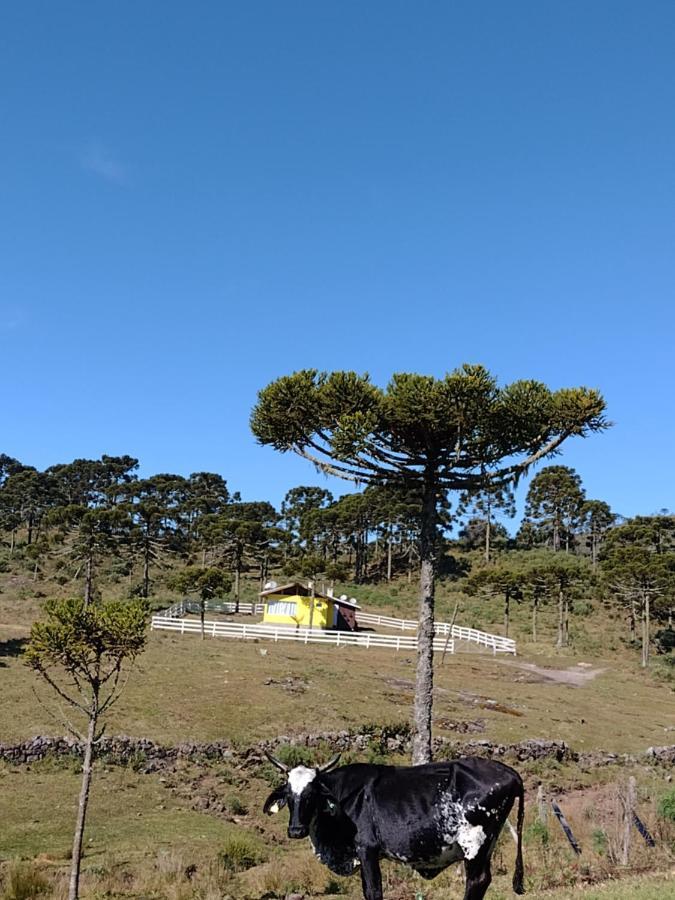 Casa E Cabana De Campo Fazenda Borba Urubici Dış mekan fotoğraf