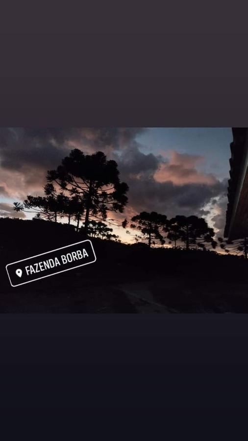 Casa E Cabana De Campo Fazenda Borba Urubici Dış mekan fotoğraf
