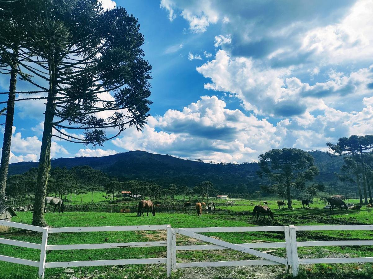 Casa E Cabana De Campo Fazenda Borba Urubici Dış mekan fotoğraf