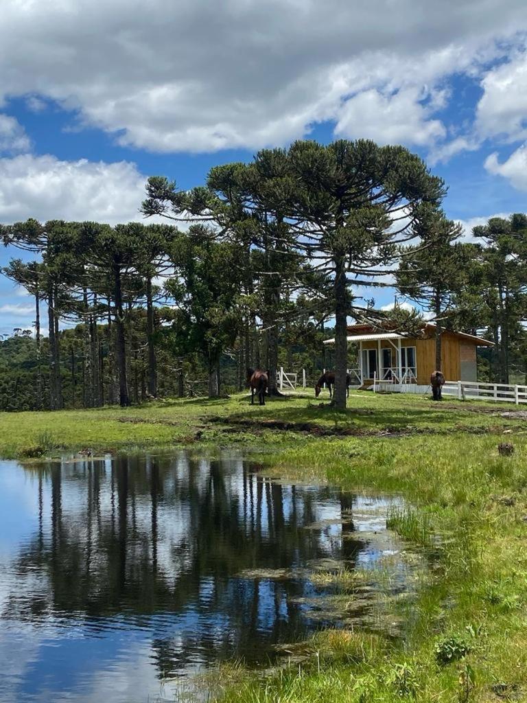 Casa E Cabana De Campo Fazenda Borba Urubici Dış mekan fotoğraf