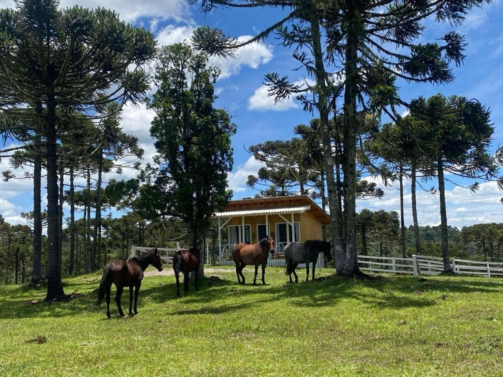 Casa E Cabana De Campo Fazenda Borba Urubici Dış mekan fotoğraf