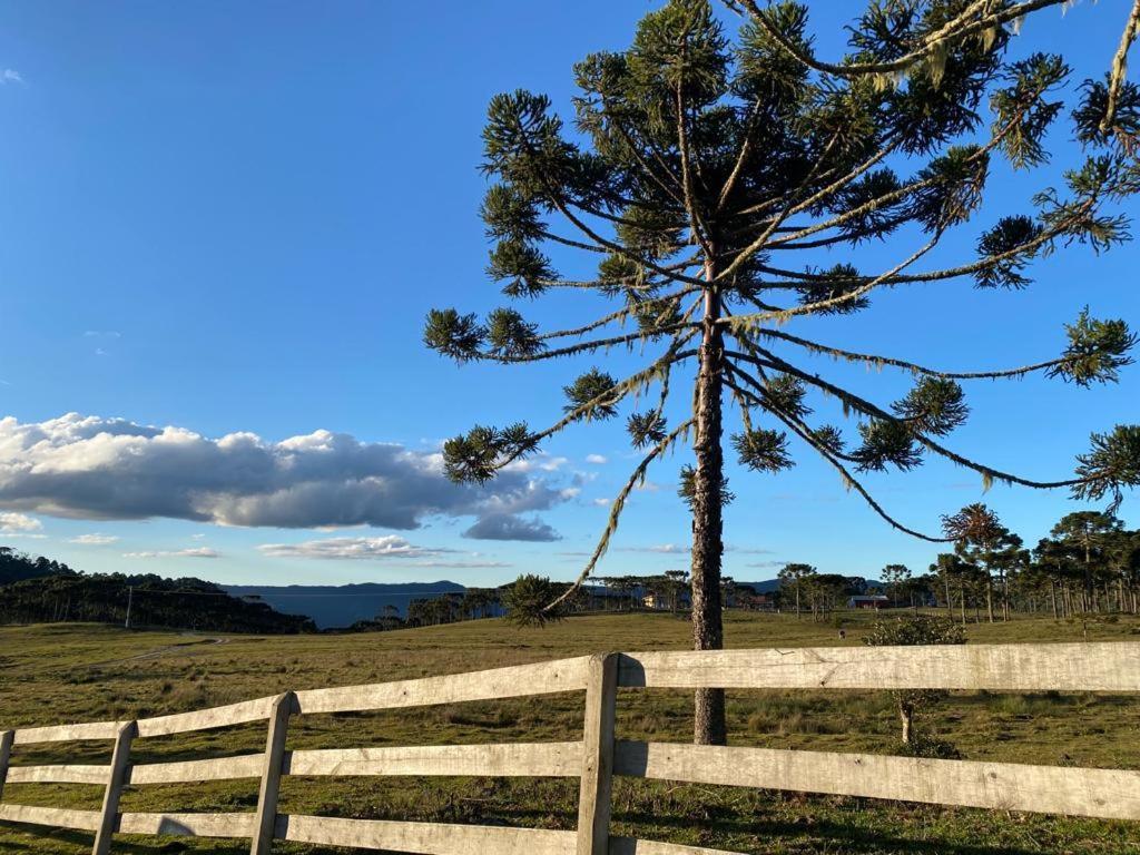 Casa E Cabana De Campo Fazenda Borba Urubici Oda fotoğraf