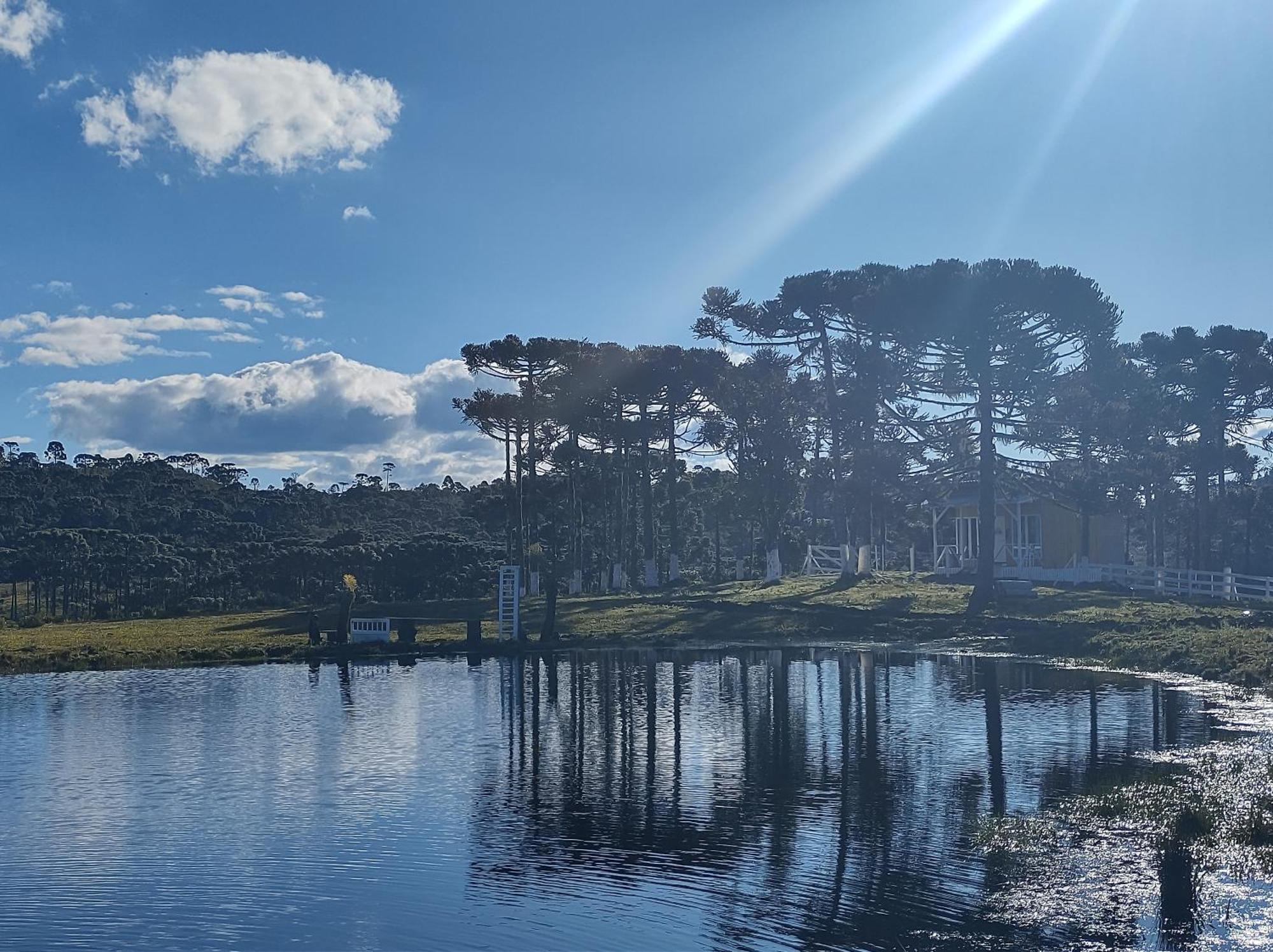 Casa E Cabana De Campo Fazenda Borba Urubici Oda fotoğraf
