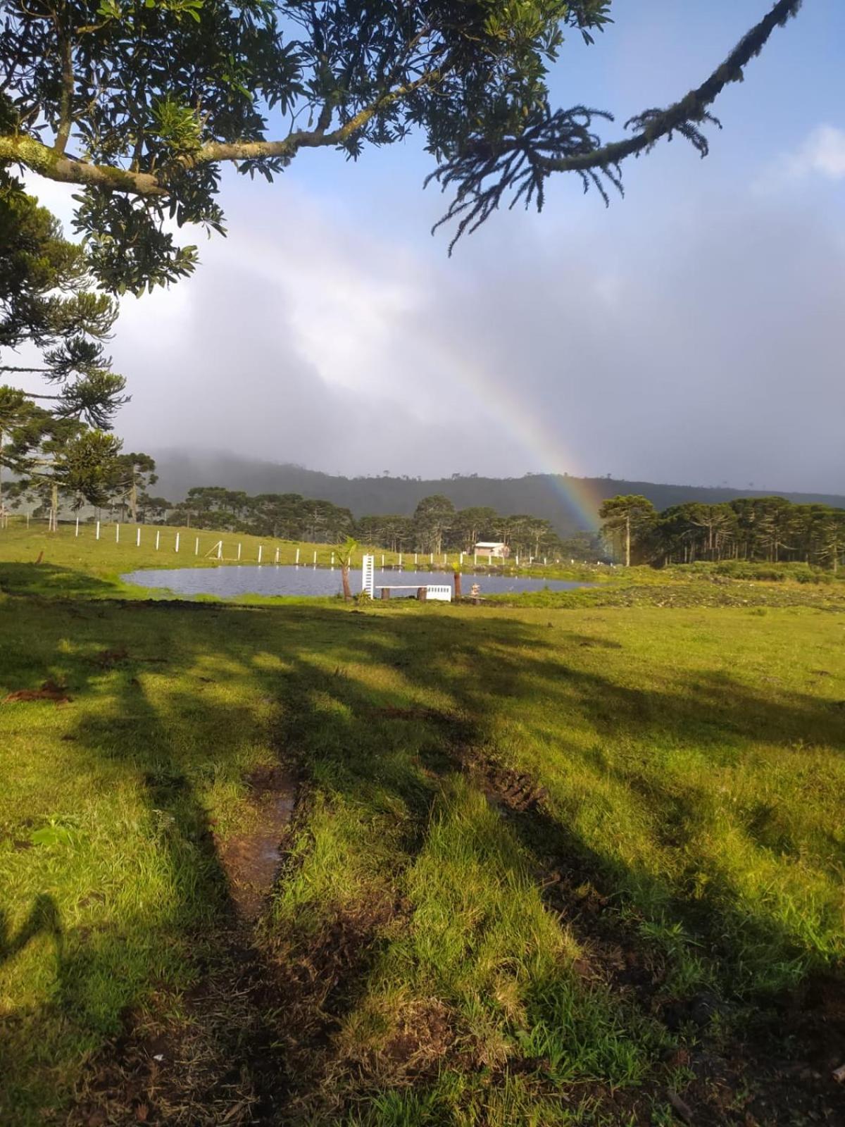 Casa E Cabana De Campo Fazenda Borba Urubici Oda fotoğraf