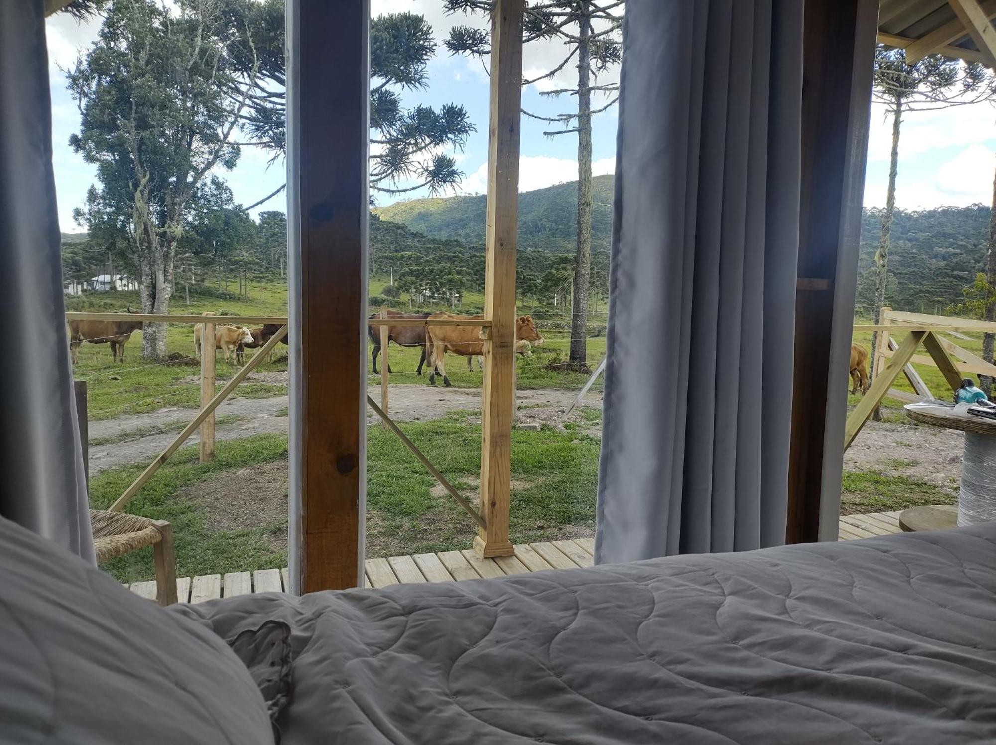 Casa E Cabana De Campo Fazenda Borba Urubici Oda fotoğraf