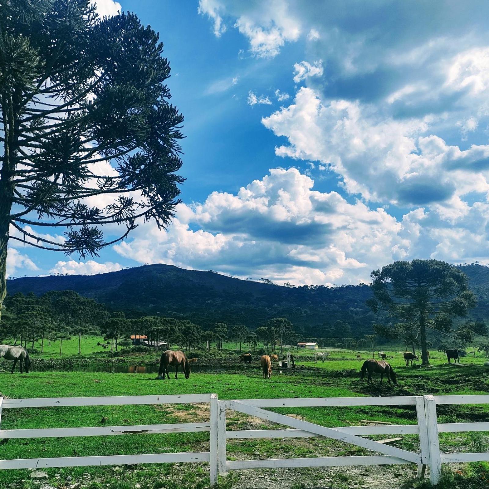 Casa E Cabana De Campo Fazenda Borba Urubici Dış mekan fotoğraf