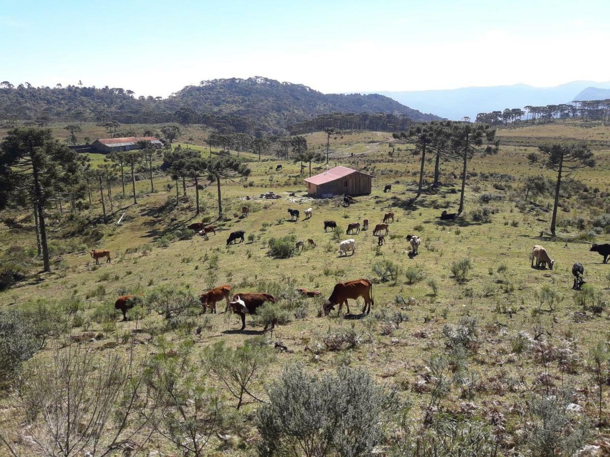 Casa E Cabana De Campo Fazenda Borba Urubici Dış mekan fotoğraf